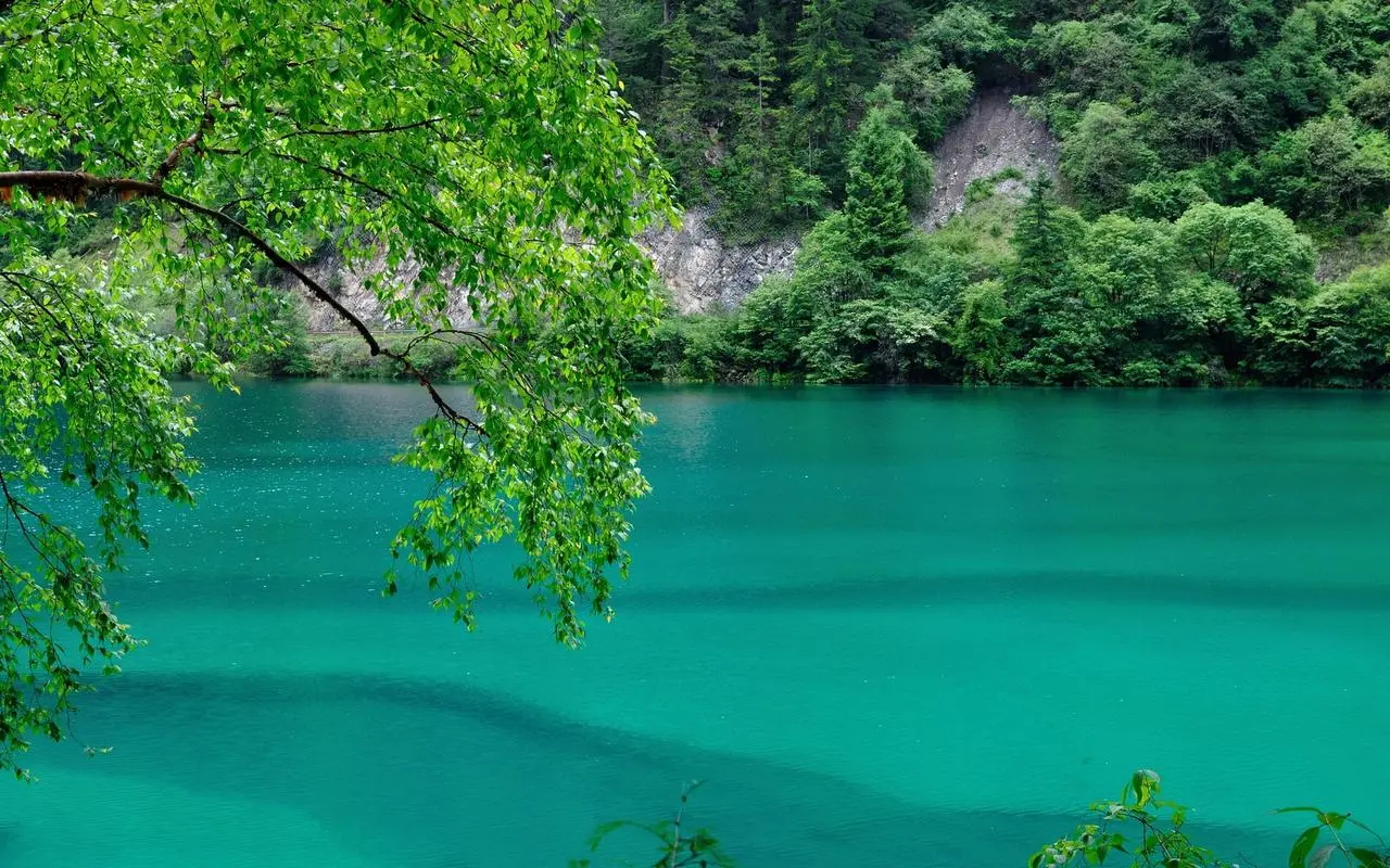 高效高标准